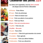 Affiche Foires 2024