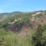 DSCF8042