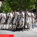 Transhumance