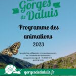 332886300 1181942395855113 7740514955911786079 N