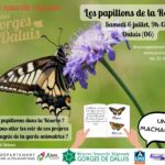 Les Papillons De La Réserve 2024 (002)