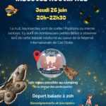 Monde Insectes Nocturnes